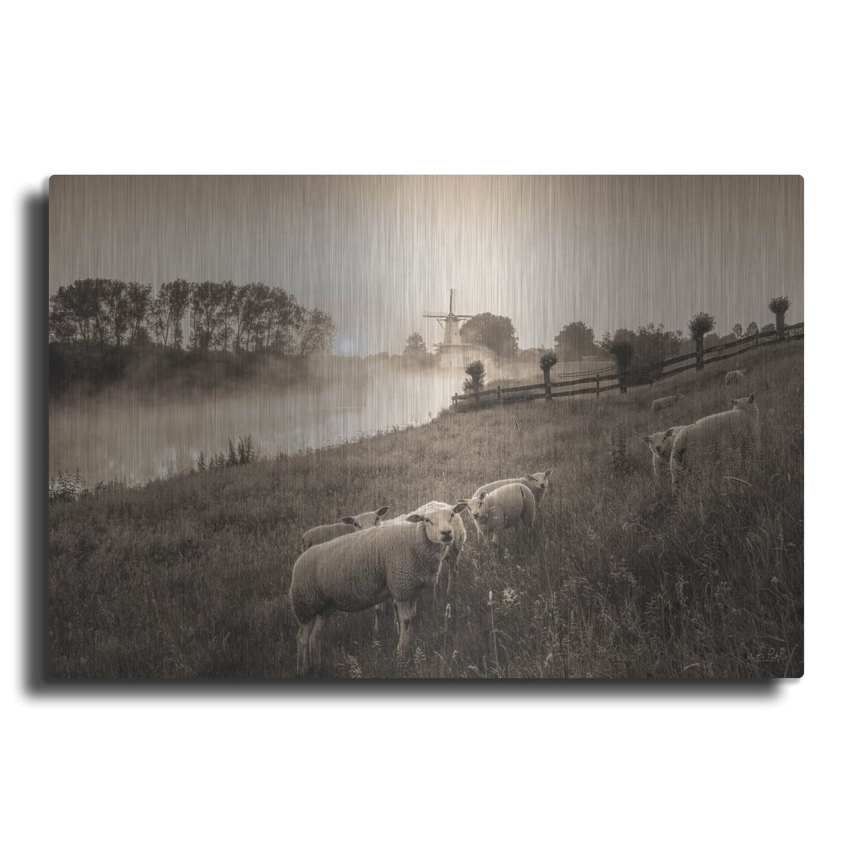 'Grazing Sheep' by Martin Podt – Metal Wall Art