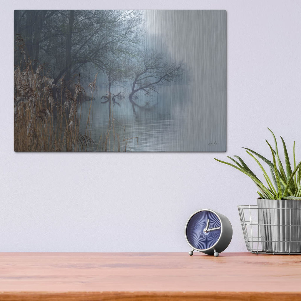 'In The Swamps' by Martin Podt – Metal Wall Art, 16x12 room view