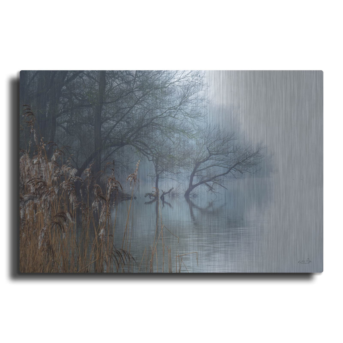 'In The Swamps' by Martin Podt – Metal Wall Art