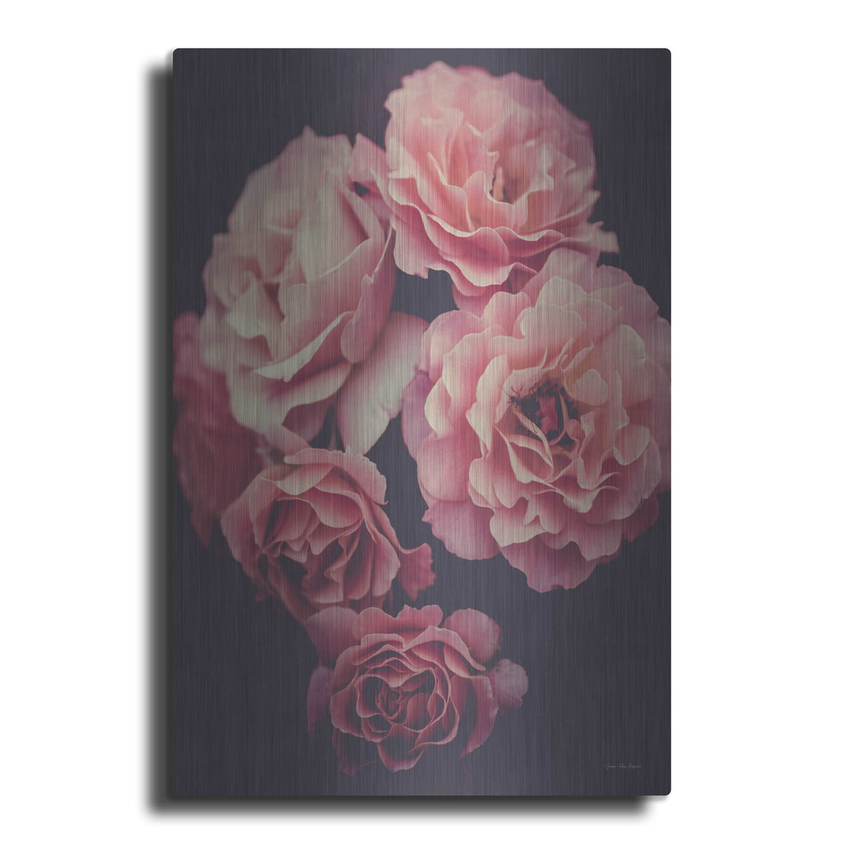 'Dreamy Roses' by Seven Trees Design – Metal Wall Art