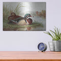 'Resting Duck 2' by Stellar Design Studio – Metal Wall Art, 16x12 room view