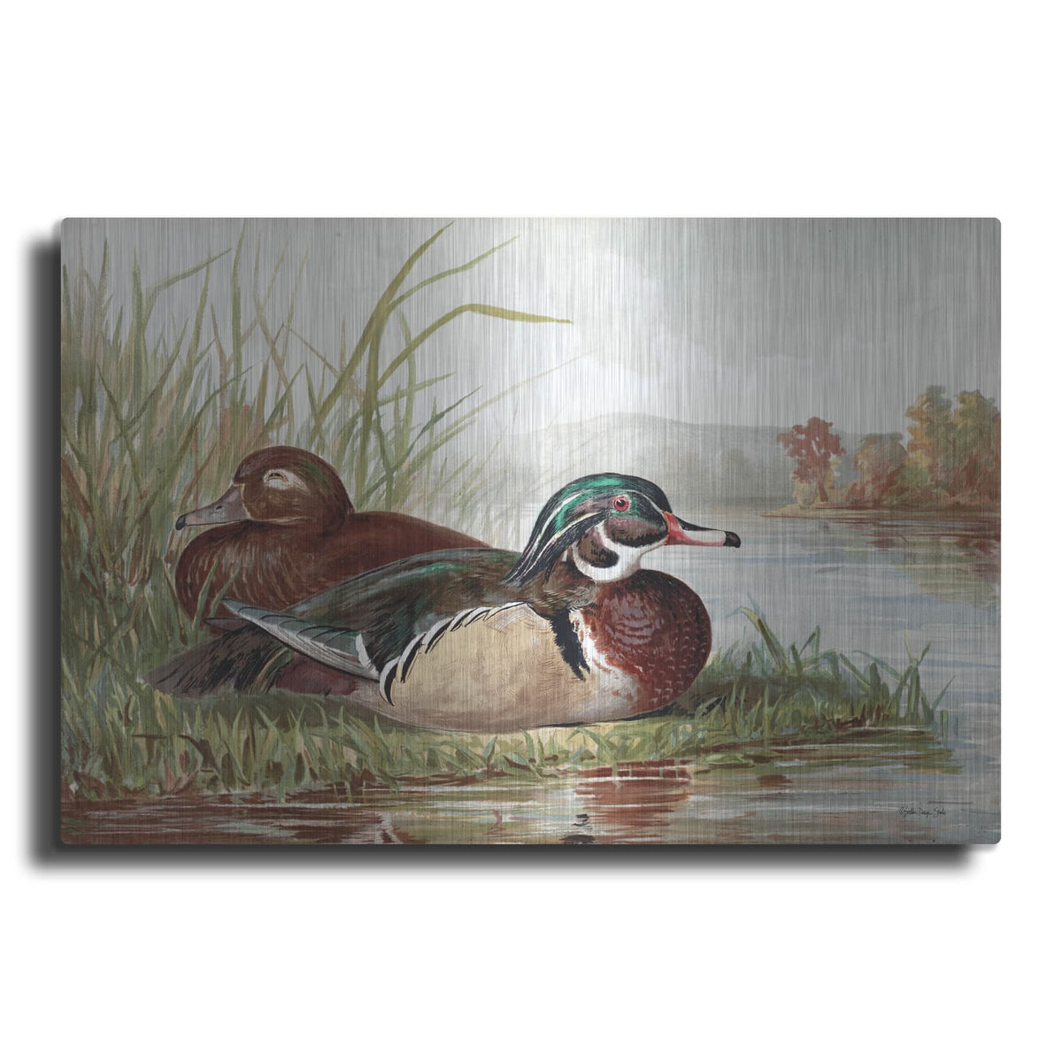 'Resting Duck 2' by Stellar Design Studio – Metal Wall Art