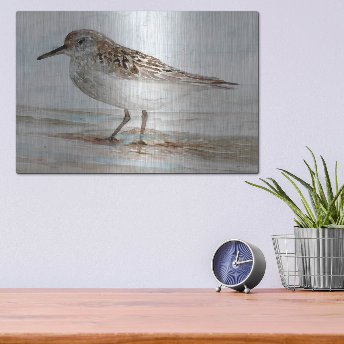 'Sanibel Piper 1' by Stellar Design Studio – Metal Wall Art, 16x12 room view
