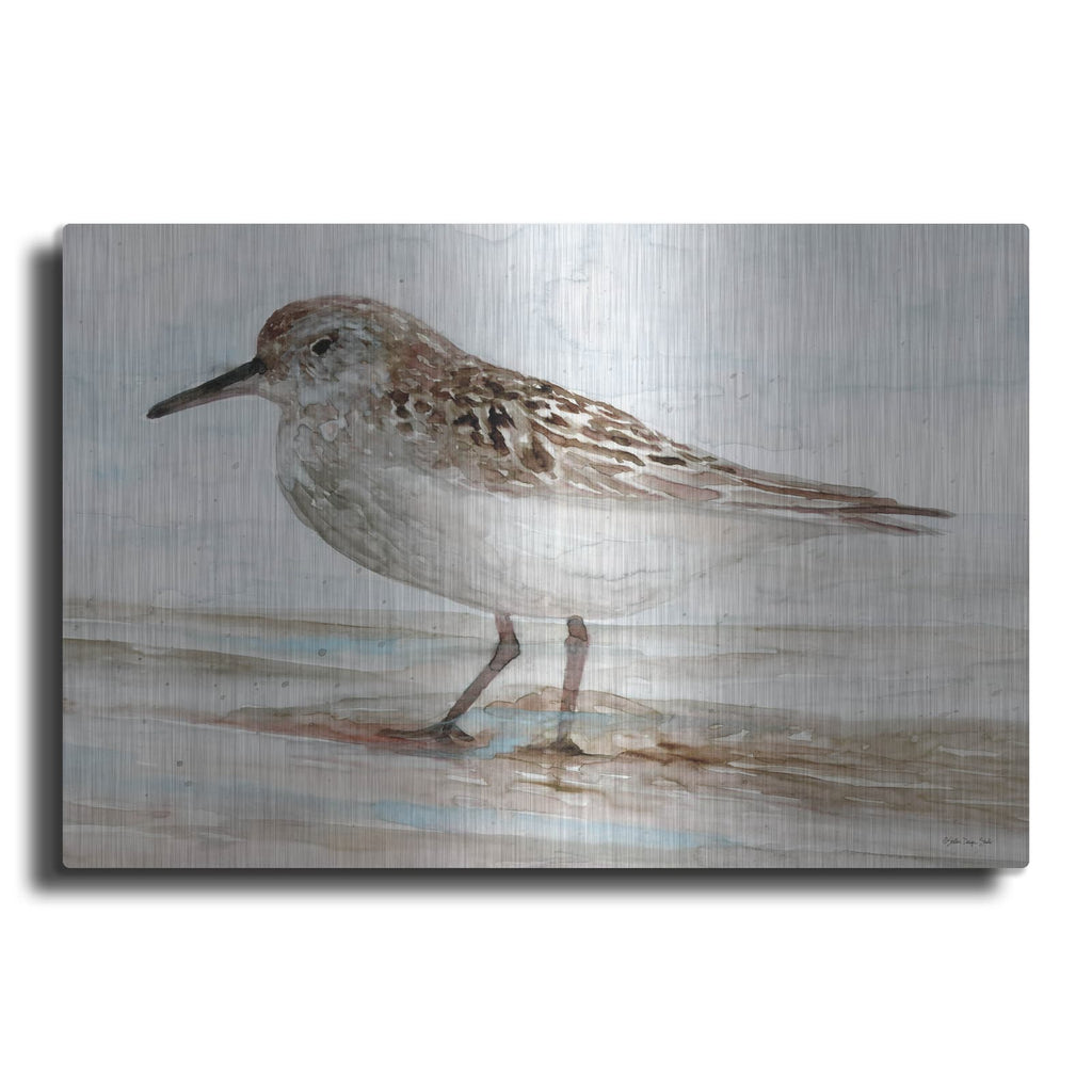 'Sanibel Piper 1' by Stellar Design Studio – Metal Wall Art