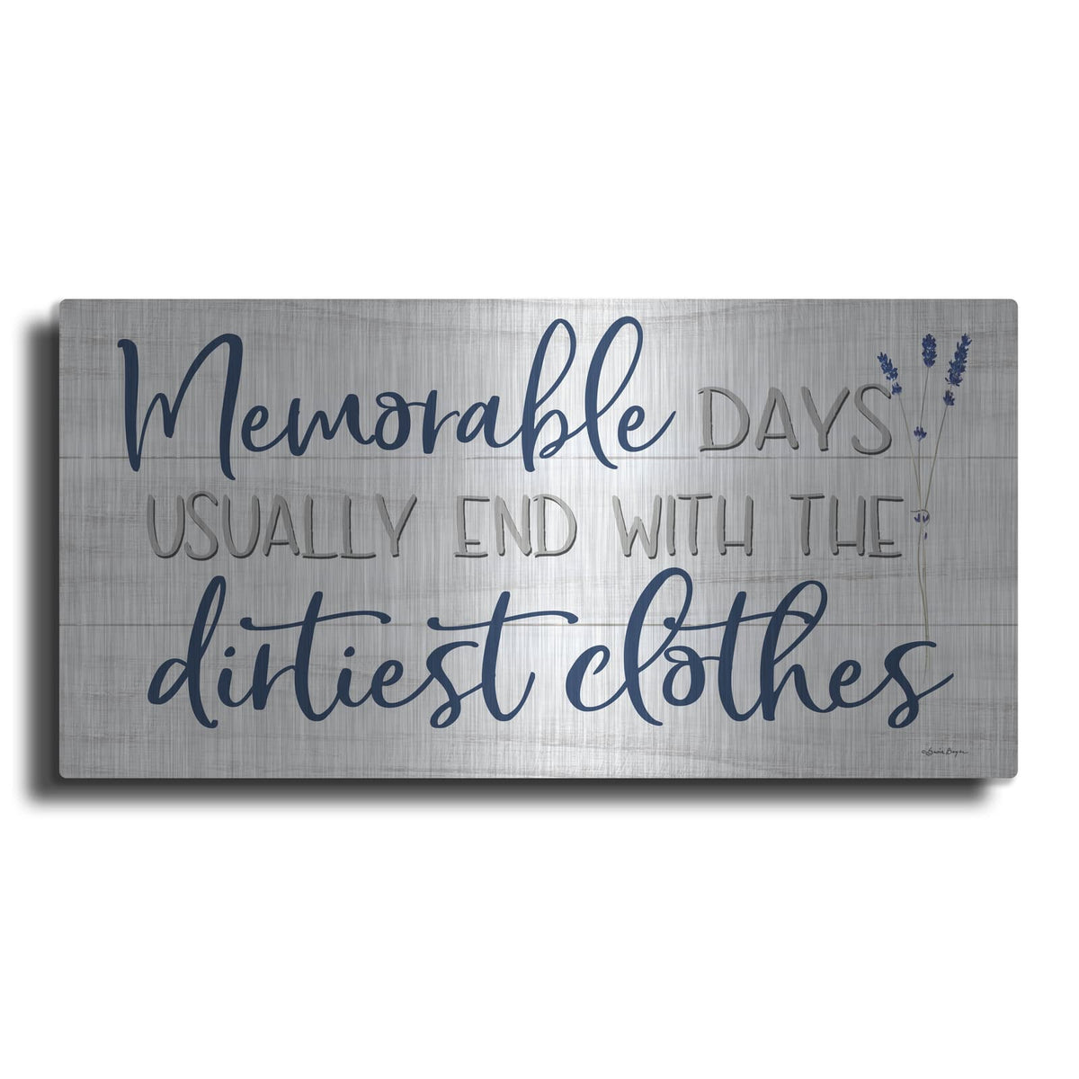 'Memorable Days' by Susie Boyer – Metal Wall Art