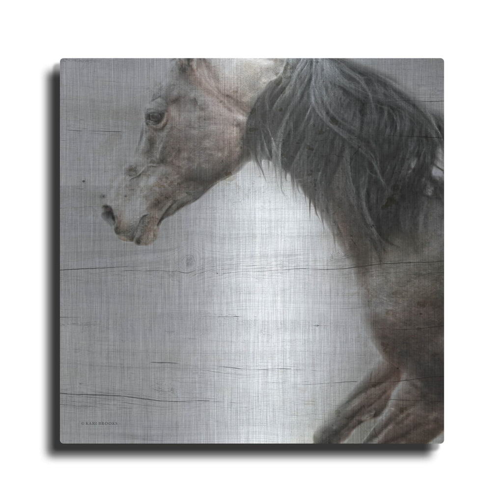 'Distant' by Kari Brooks – Metal Wall Art