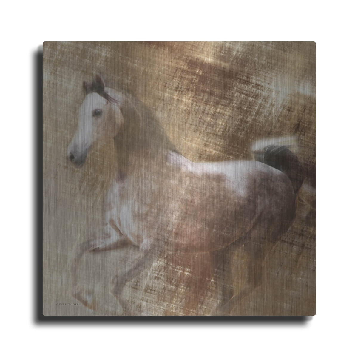 'Golden Grey' by Kari Brooks – Metal Wall Art