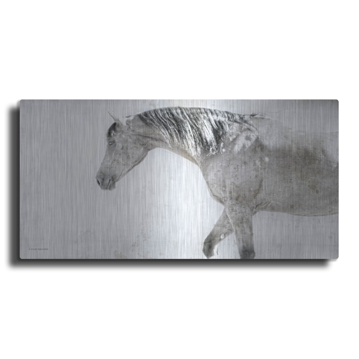 'Harrison' by Kari Brooks – Metal Wall Art