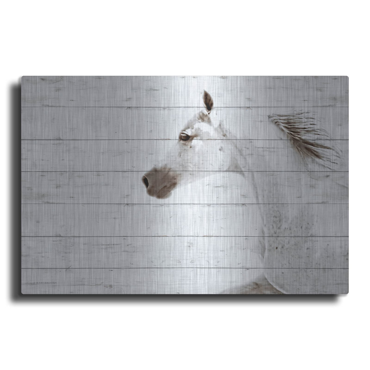 'Moonbay' by Kari Brooks – Metal Wall Art