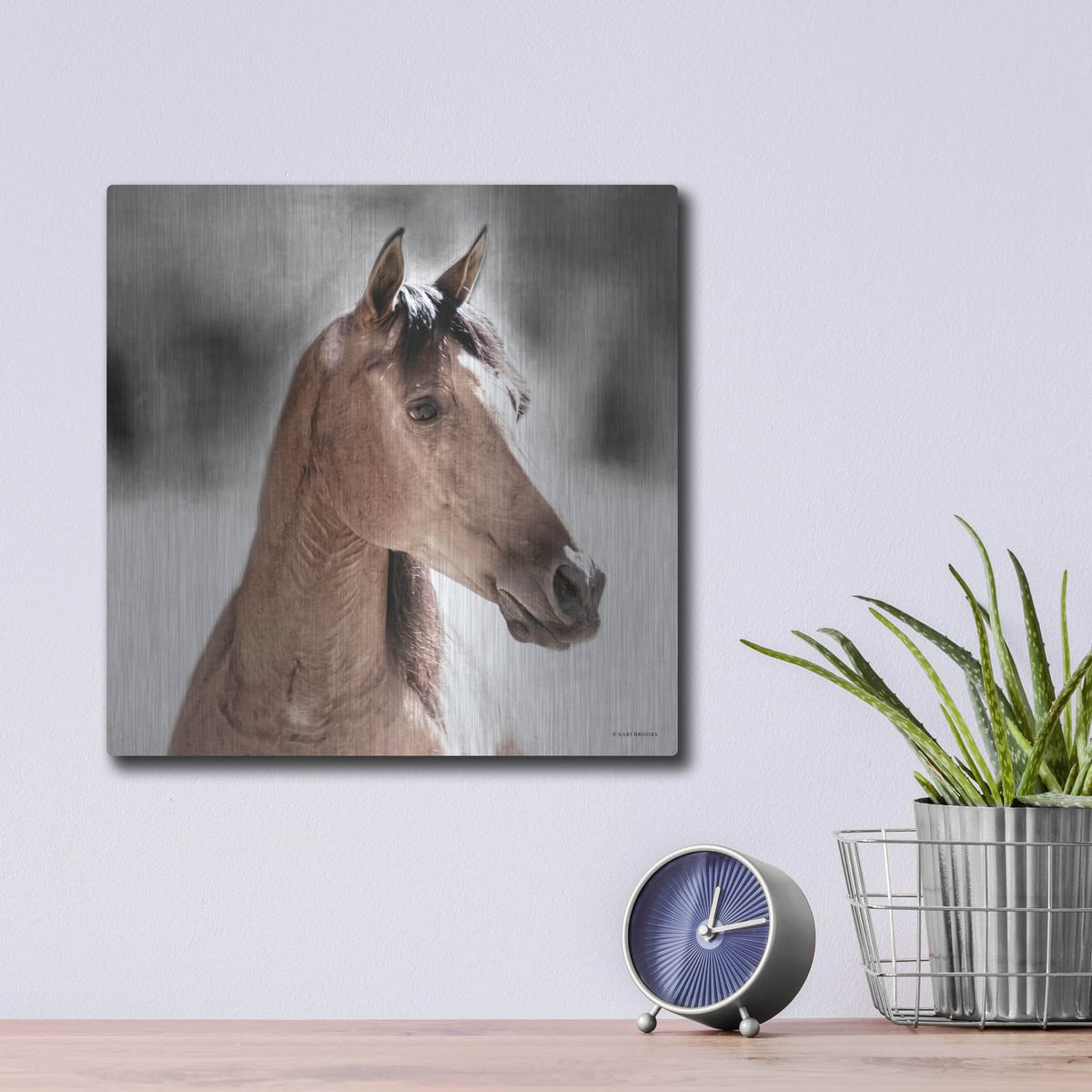 'Sugar' by Kari Brooks – Metal Wall Art, 12x12 room view