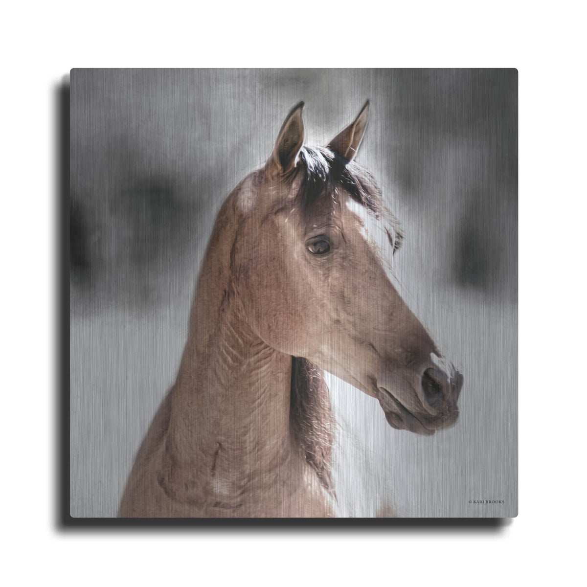 'Sugar' by Kari Brooks – Metal Wall Art