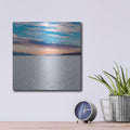 'Death Valley - Salt Land' by Luxe Metal Portfolio – Metal Wall Art, 12x12 room view