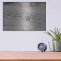 'Death Valley - Sand Life' by Luxe Metal Portfolio – Metal Wall Art, 16x12 room view