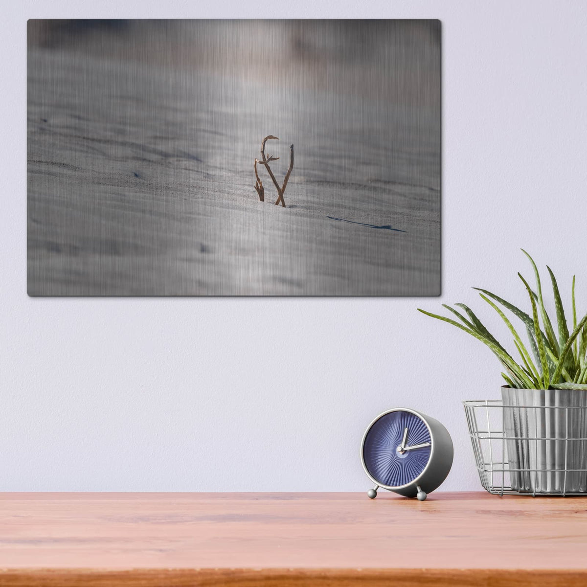 'Death Valley - Sand Life' by Luxe Metal Portfolio – Metal Wall Art, 16x12 room view