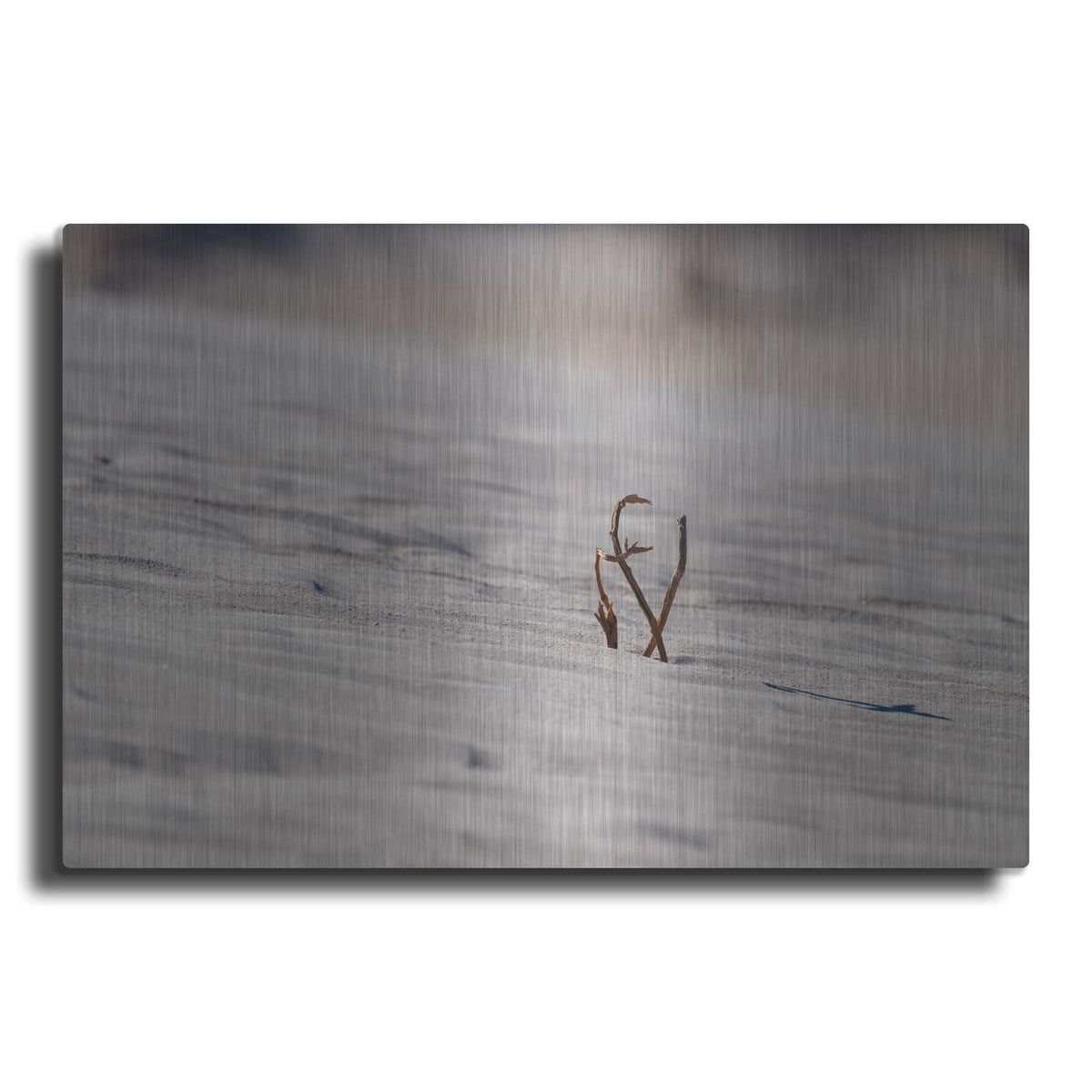 'Death Valley - Sand Life' by Luxe Metal Portfolio – Metal Wall Art