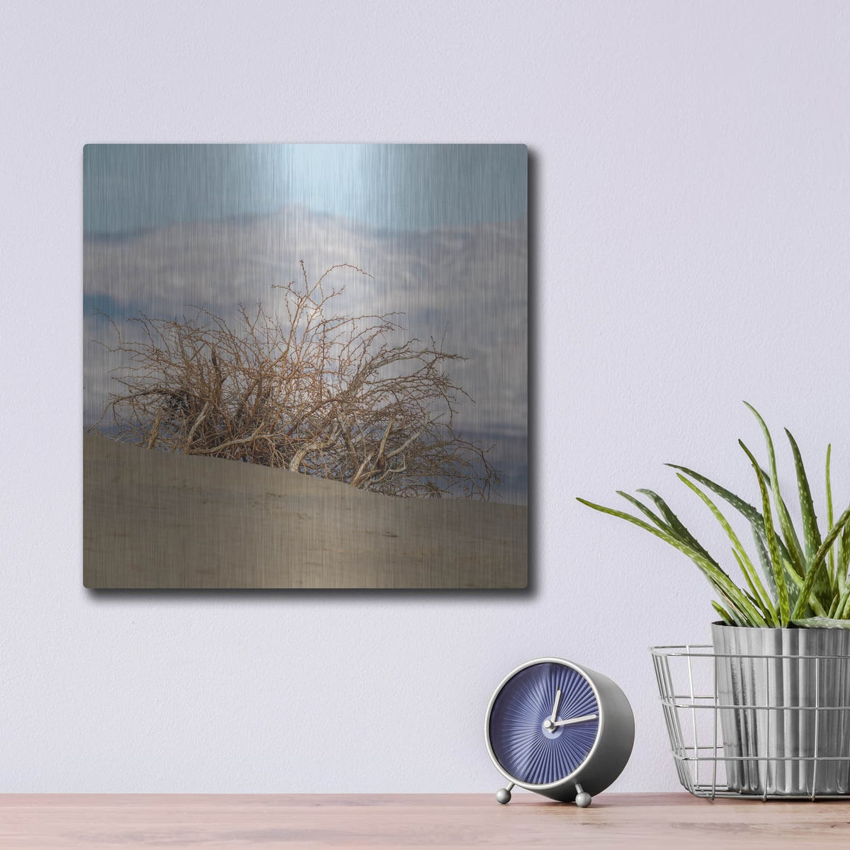 'Desert Tumbleweed' by Luxe Metal Portfolio – Metal Wall Art, 12x12 room view