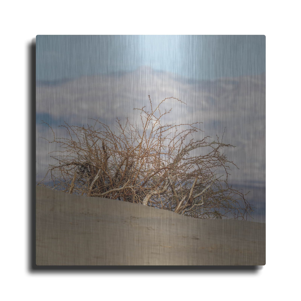 'Desert Tumbleweed' by Luxe Metal Portfolio – Metal Wall Art
