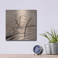 'Sand Life' by Luxe Metal Portfolio – Metal Wall Art, 12x12 room view