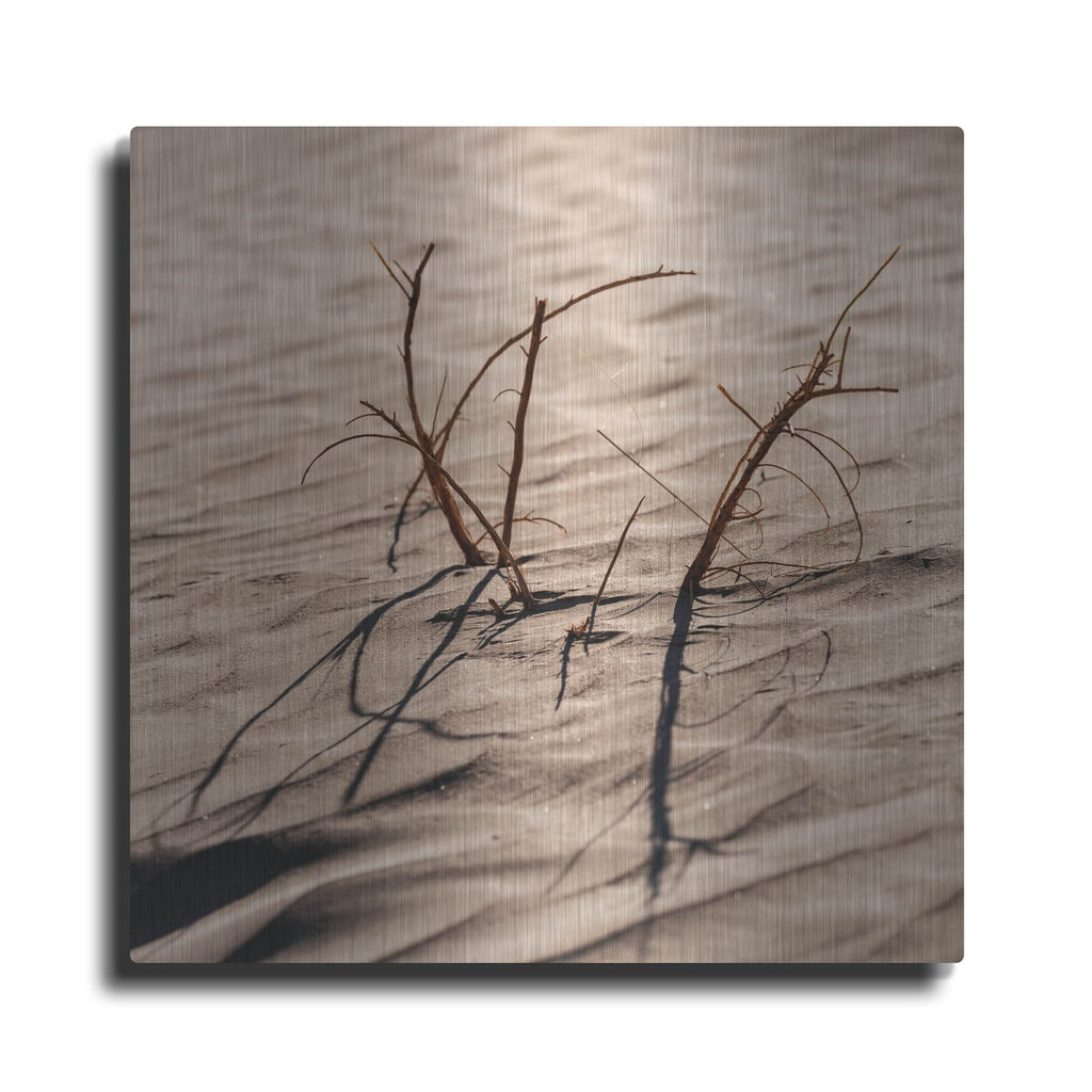 'Sand Life' by Luxe Metal Portfolio – Metal Wall Art