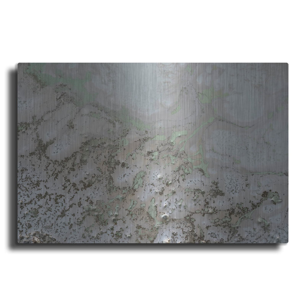 'Life And Souls' by Petra Meikle de Vlas – Metal Wall Art