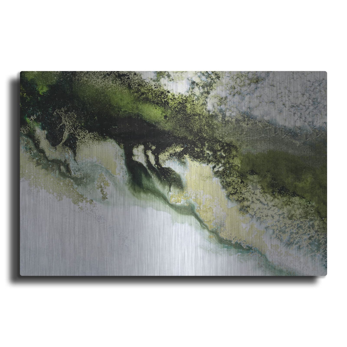 'Wonders Of The Wild' by Petra Meikle de Vlas – Metal Wall Art