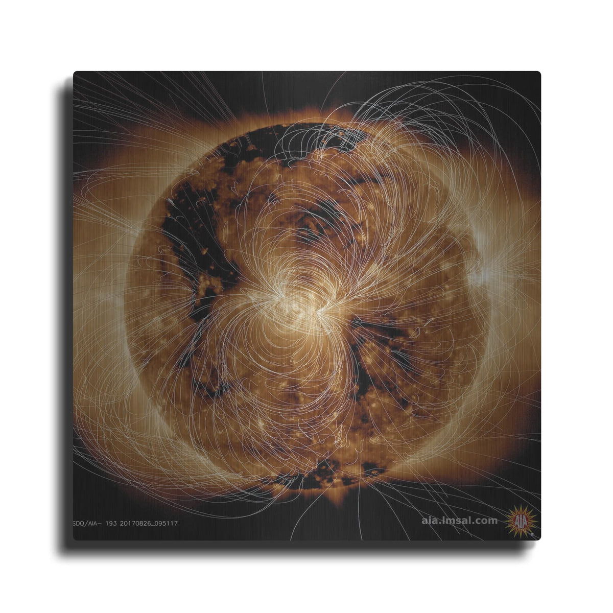 'Sun's Magnetic Field Portrayed' by NASA Space Photos – Metal Wall Art