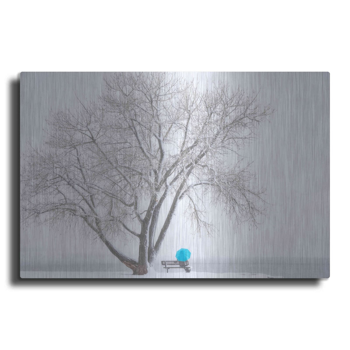 'Another Winter Alone' by Darren White – Metal Wall Art