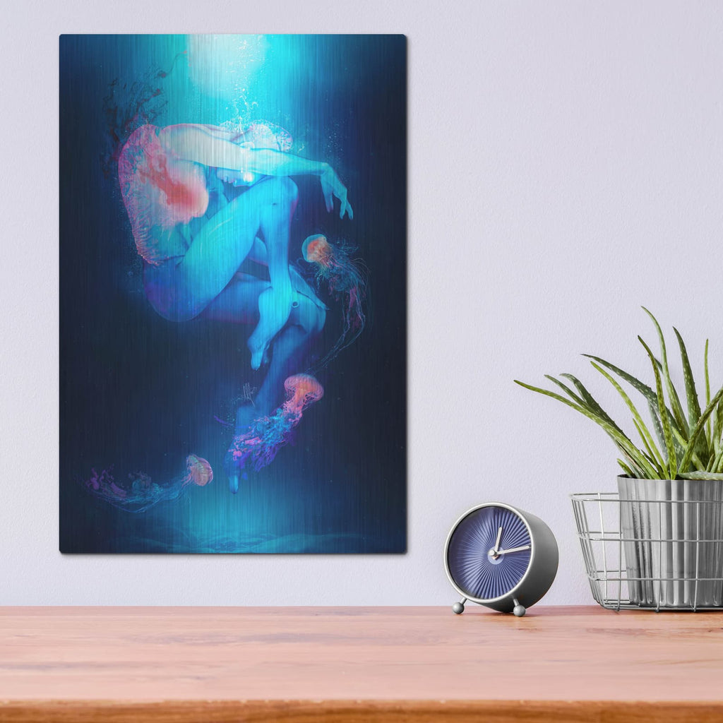 'Adagio For Stings' by Mario Sanchez Nevado – Metal Wall Art, 12x16 room view