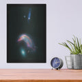 'Arp 142 Penguin and the Egg' – Metal Wall Art, 12x16 room view