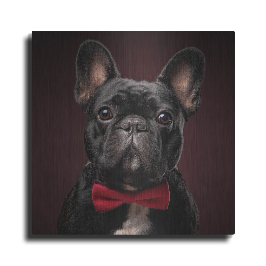 'French Bulldog With Bowtie' by Rich Monet Metal Wall Art