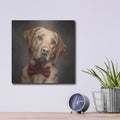 'Labrador Retriever In Bowtie' by Rich Monet Metal Wall Art