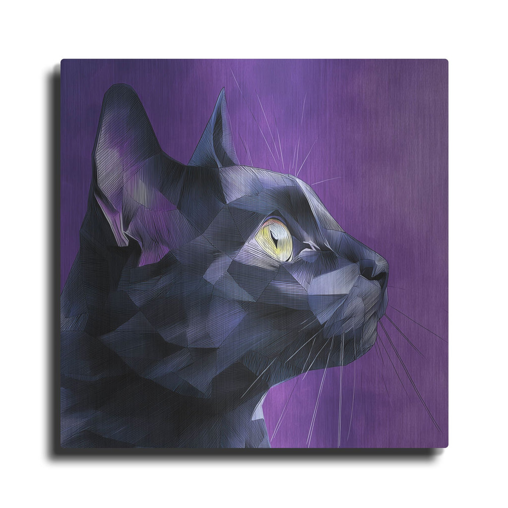 'Geocat' by Rich Monet Metal Wall Art