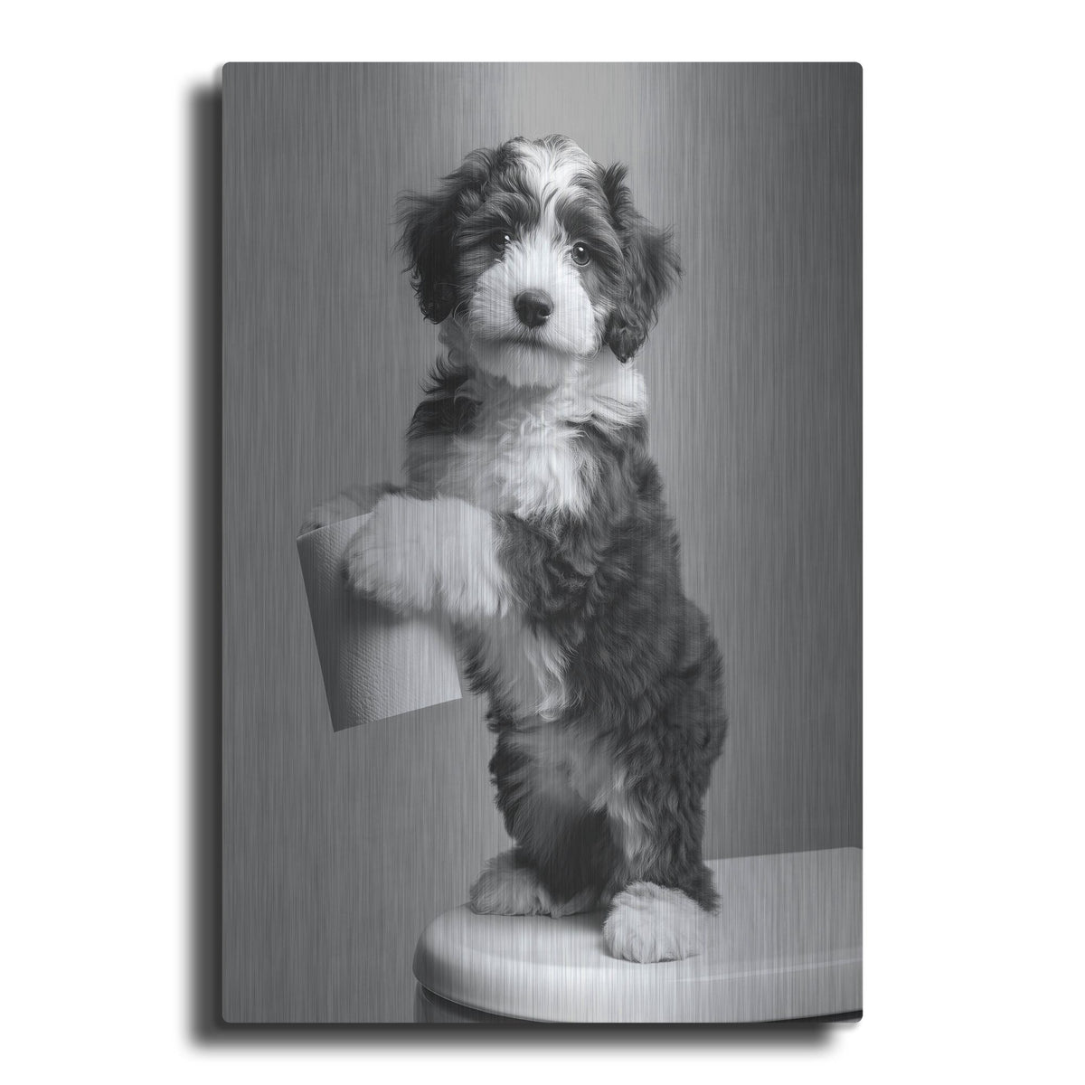 'The Bathroom Matron 2' by Rich Monet Metal Wall Art