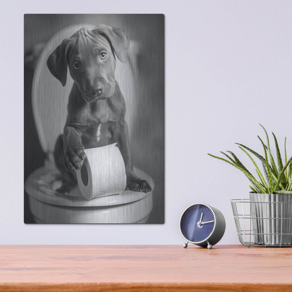 'The Bathroom Matron 3' by Rich Monet Metal Wall Art