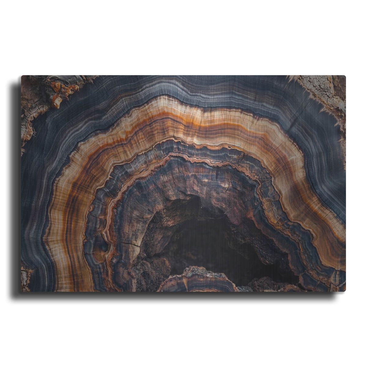 'Petrified Tree Trunk' by Rich Monet Metal Wall Art