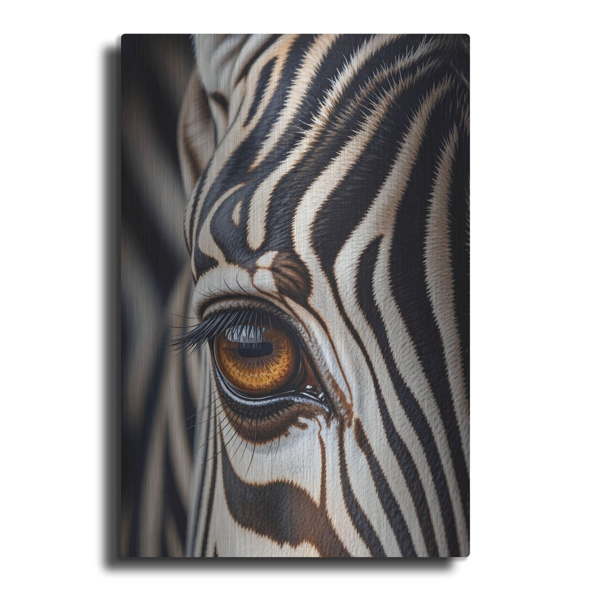 'I Am Zebra 2' by Rich Monet Metal Wall Art