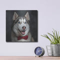'Siberian Husky Photoshoot' by Rich Monet Metal Wall Art