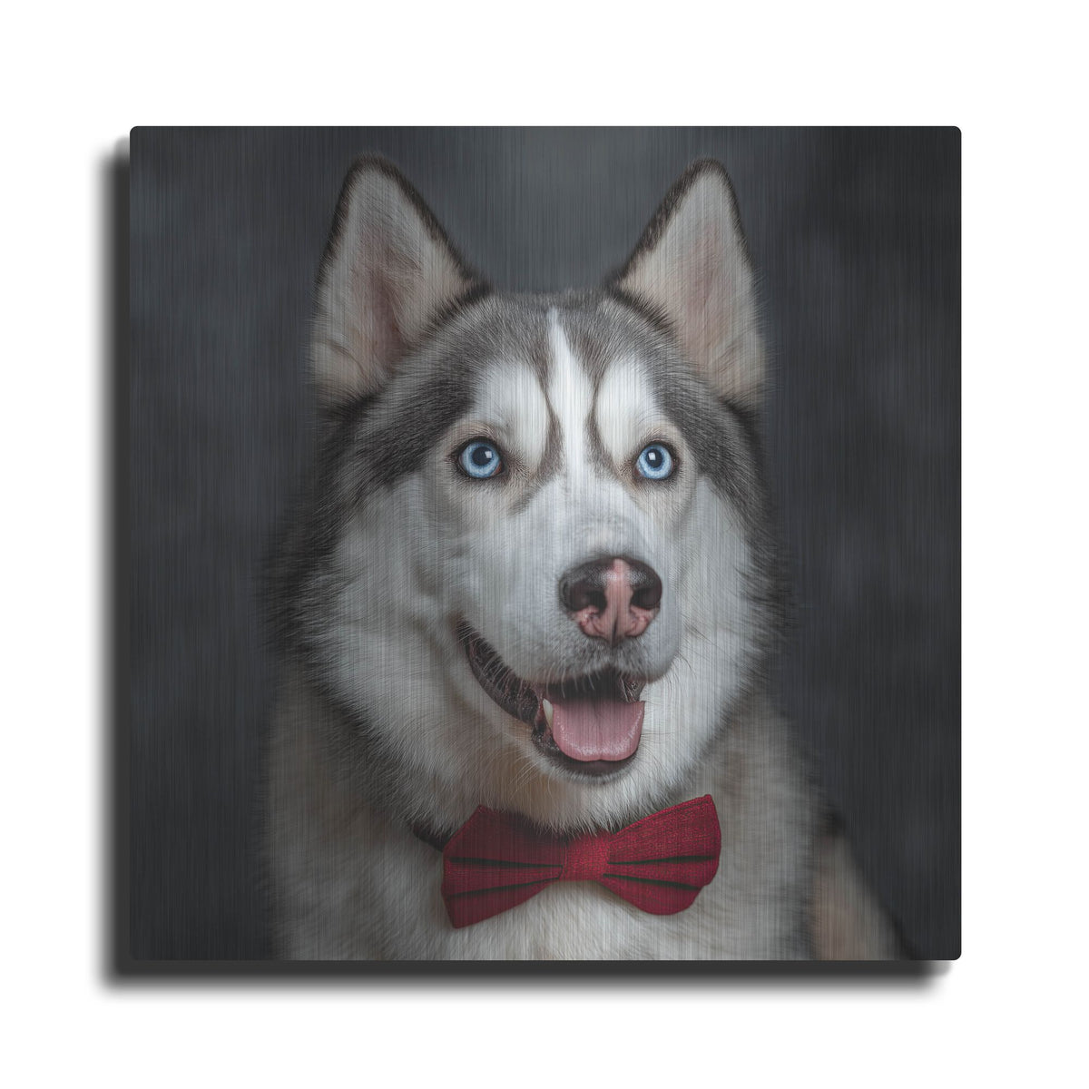 'Siberian Husky Photoshoot' by Rich Monet Metal Wall Art