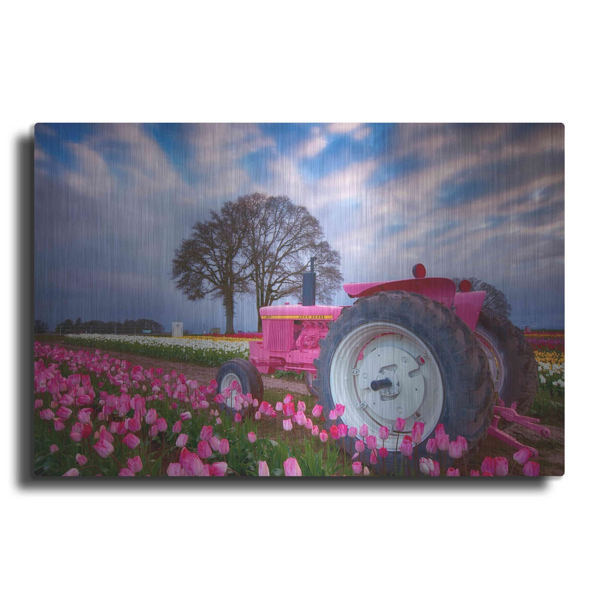 'Jane Deere' by Darren White – Metal Wall Art