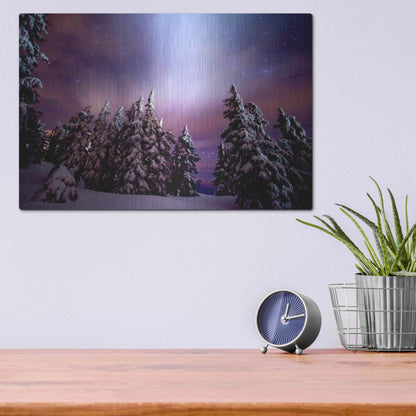 Luxe Metal Art 'Winter Nights' by Darren White, Metal Wall Art,16x12