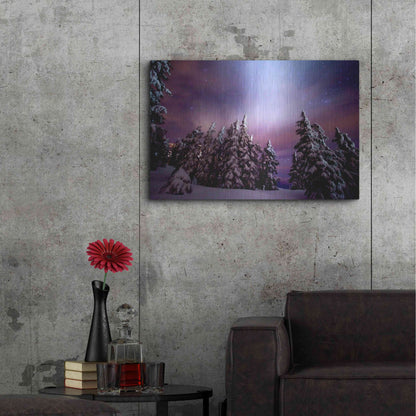 Luxe Metal Art 'Winter Nights' by Darren White, Metal Wall Art,36x24