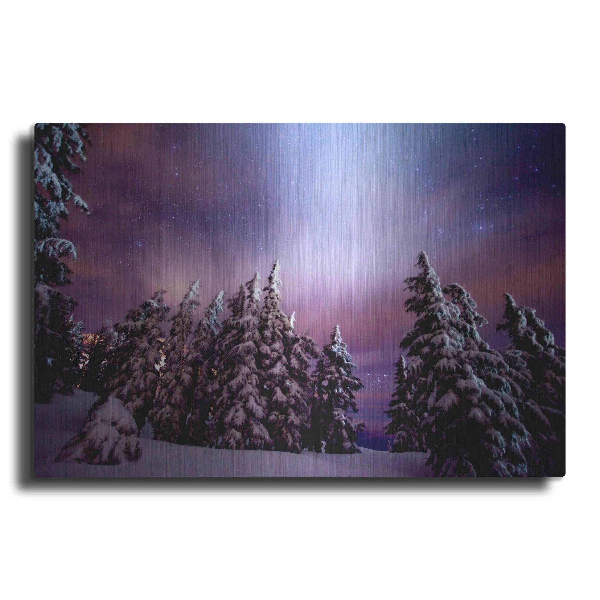 Luxe Metal Art 'Winter Nights' by Darren White, Metal Wall Art