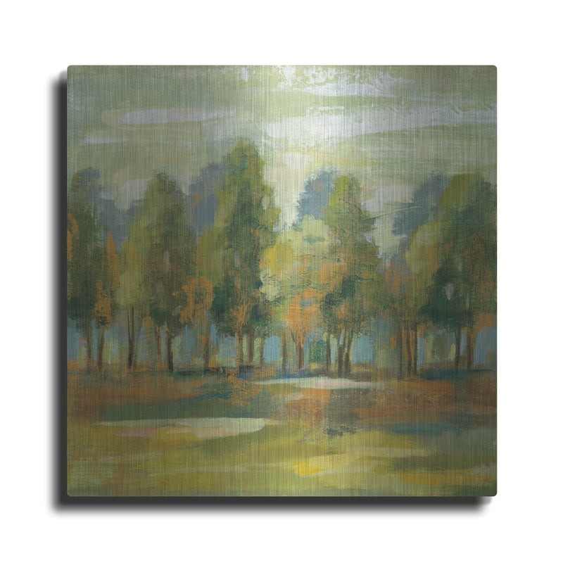 'Forest I' by Silvia Vassileva – Metal Wall Art