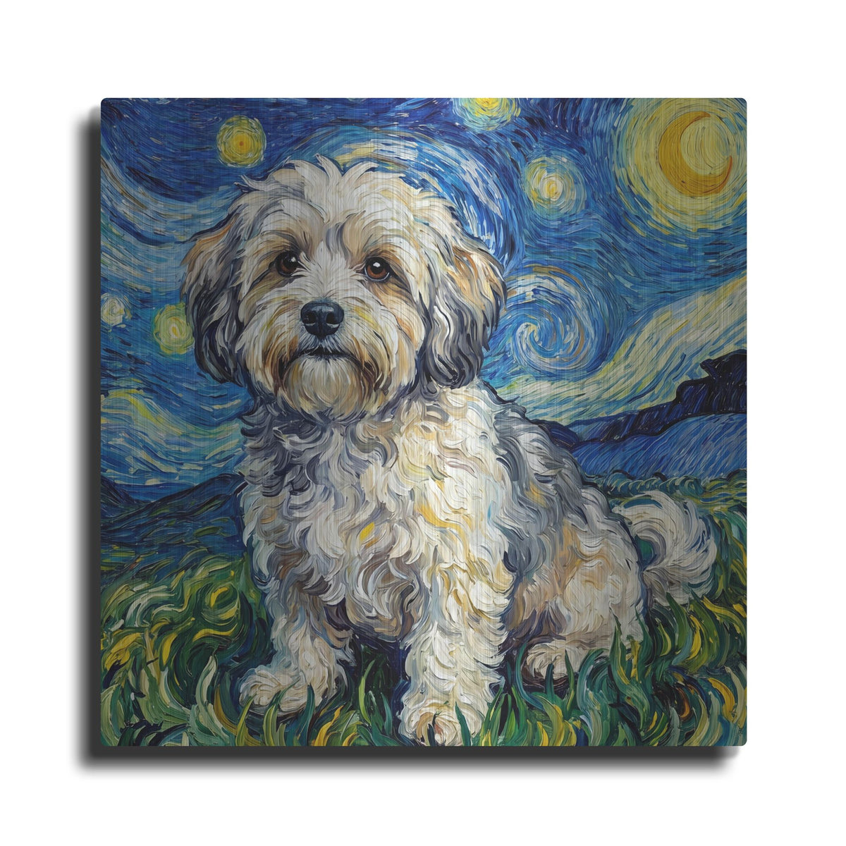 'Havanese Starry Night' by Rich Monet Metal Wall Art