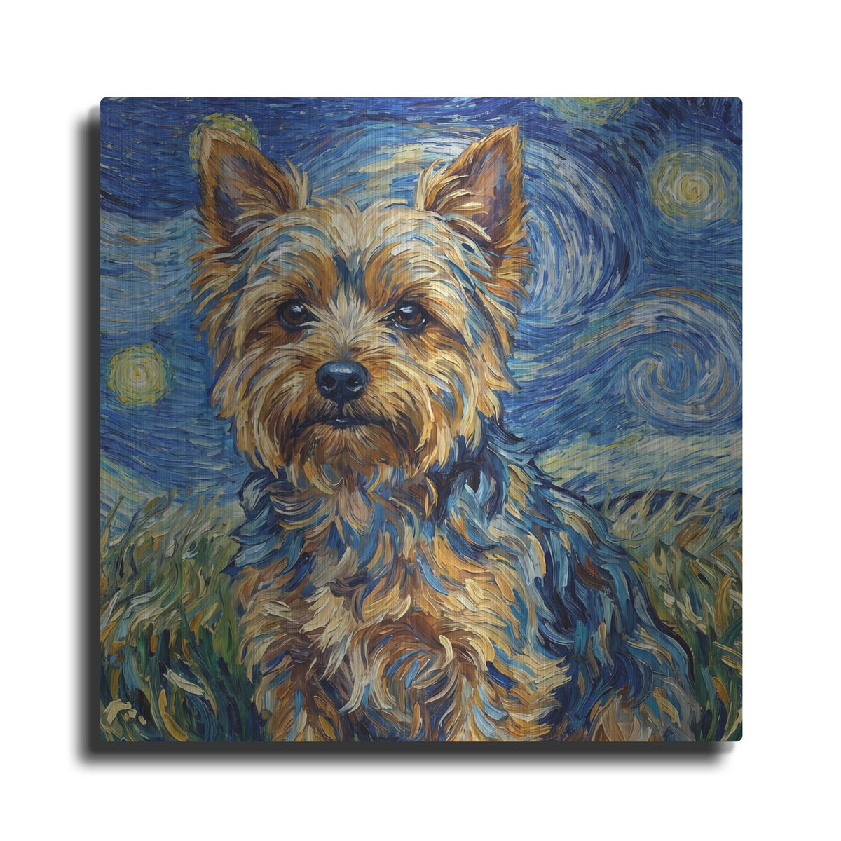 'Yorkshire Terrier Starry Night' by Rich Monet Metal Wall Art
