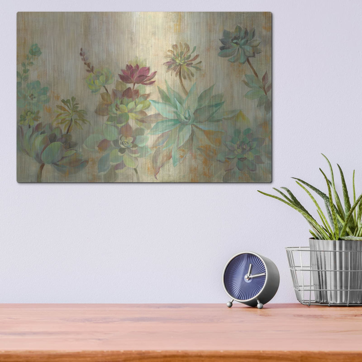 'Succulent Garden' by Silvia Vassileva – Metal Wall Art, 16x12 room view