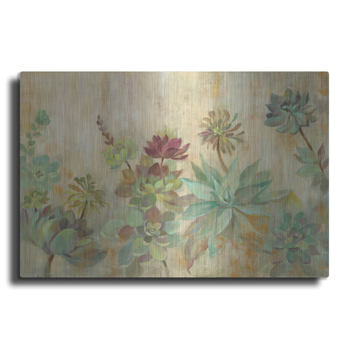 'Succulent Garden' by Silvia Vassileva – Metal Wall Art