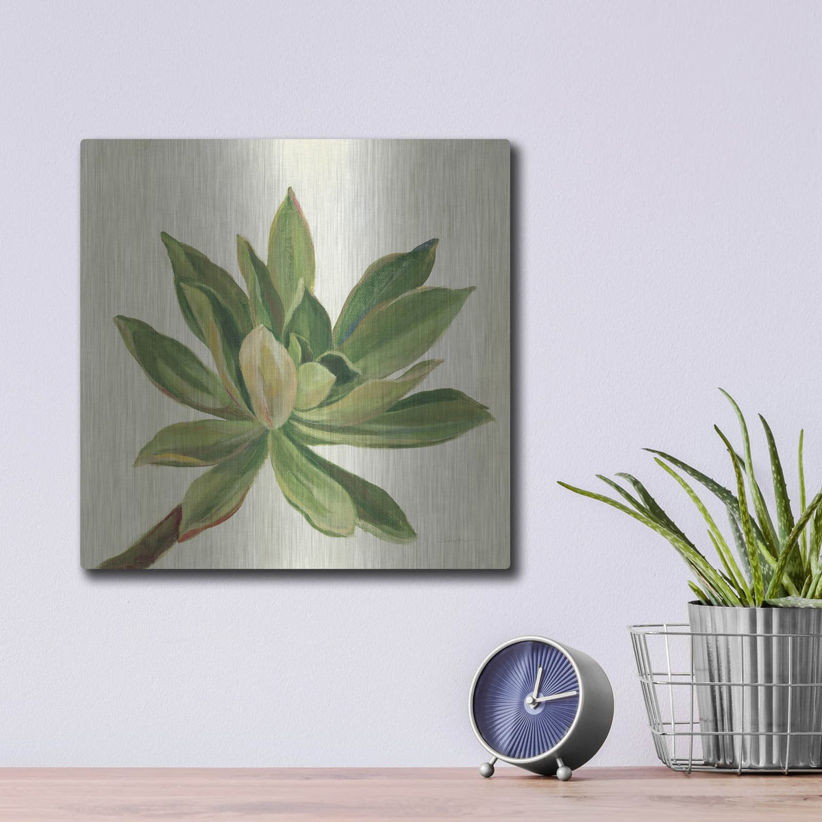 'Front Yard Succulent I' by Silvia Vassileva – Metal Wall Art, 12x12 room view