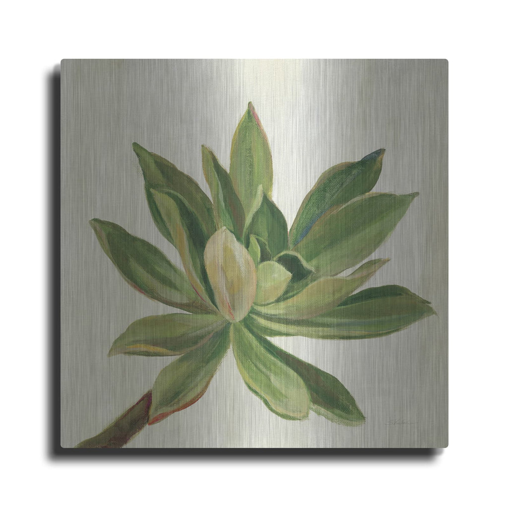 'Front Yard Succulent I' by Silvia Vassileva – Metal Wall Art