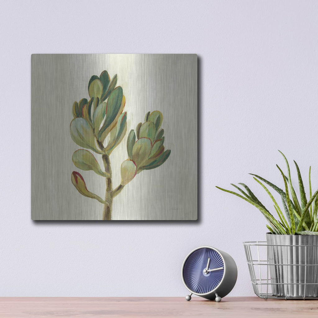 'Front Yard Succulent II' by Silvia Vassileva – Metal Wall Art, 12x12 room view
